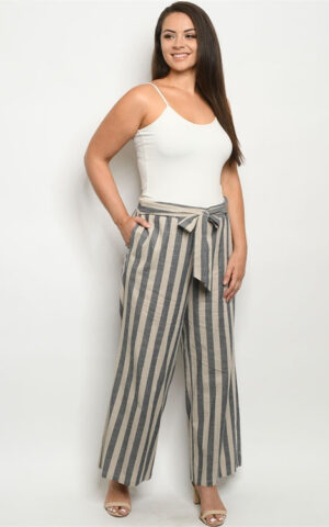 TAUPE NAVY STRIPES PLUS SIZE PANTS