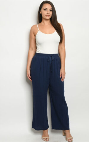 NAVY PLUS SIZE PANTS