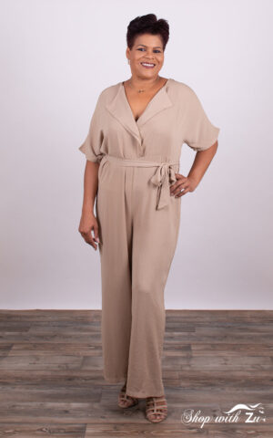 Plus size short sleeve V-neck